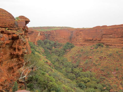 Kings Canyon Day Trip From Ayers Rock - Redcliffe Tourism 13