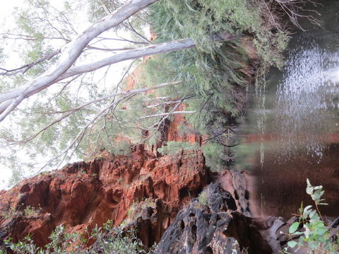 Kings Canyon Day Trip From Ayers Rock - Redcliffe Tourism 11