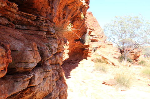 Kings Canyon Day Trip From Ayers Rock - Redcliffe Tourism 20