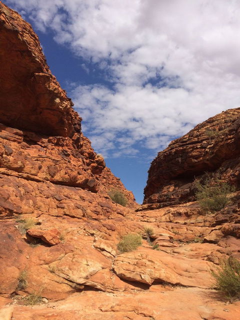 Kings Canyon Day Trip From Ayers Rock - Redcliffe Tourism 25
