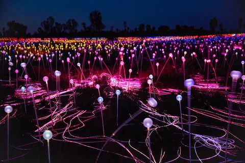Uluru Field Of Light Sunrise Tour - Redcliffe Tourism 1