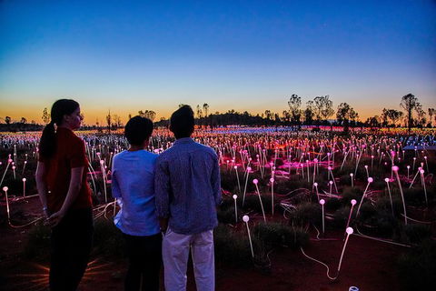 Uluru Field Of Light Sunrise Tour - Redcliffe Tourism 5