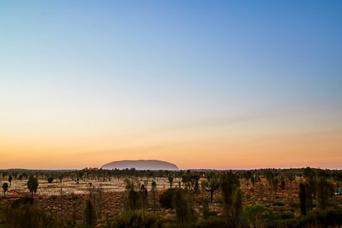 Uluru Field Of Light Sunrise Tour - Redcliffe Tourism 12
