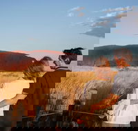 Uluru Ayers Rock Sunset with Outback Barbecue Dinner and Star Tour - Redcliffe Tourism