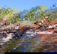 Litchfield and Jumping Crocodiles Full Day Trip from Darwin - Redcliffe Tourism