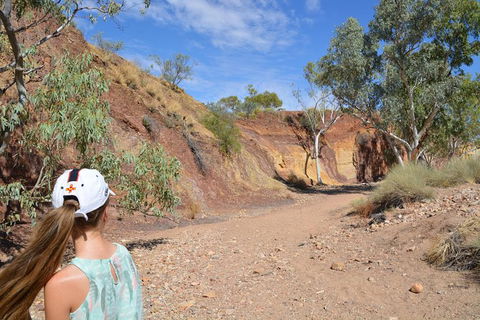 West MacDonnell Ranges Small-Group Full-Day Guided Tour - Redcliffe Tourism 2