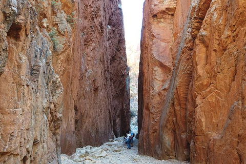 West MacDonnell Ranges Small-Group Full-Day Guided Tour - Redcliffe Tourism 6