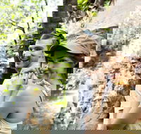 Small-Group Litchfield National Park Day Trip from Darwin - Redcliffe Tourism