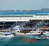 Darwin Harbour Bombing of Darwin Cruise - Redcliffe Tourism