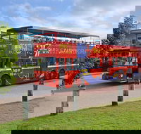 Darwin Shore Excursion Hop-on Hop-off Bus Tour - Redcliffe Tourism