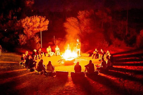 4-Day Red Centre Camping Safari From Alice Springs Or Ayers Rock Including Kings Canyon - Redcliffe Tourism 0