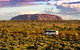 Alice Springs To Uluru (Ayers Rock) One Way Shuttle - thumb 2