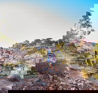 Kings Canyon Guided Rim Walk - Redcliffe Tourism