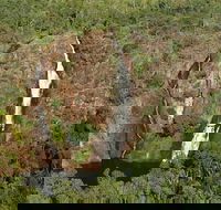 Litchfield Park Scenic Flight From Darwin - Redcliffe Tourism