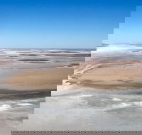 Scenic Flight Lizard Safari - Redcliffe Tourism