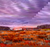 4-Day Camping Trip from Ayers Rock Including Uluru Kata Tjuta and Kings Canyon - Redcliffe Tourism