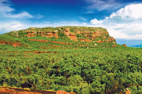 Kakadu, Nourlangie And Yellow Waters Tour From Darwin - Redcliffe Tourism 1
