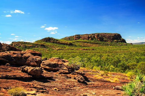 Kakadu, Nourlangie And Yellow Waters Tour From Darwin - Redcliffe Tourism 34
