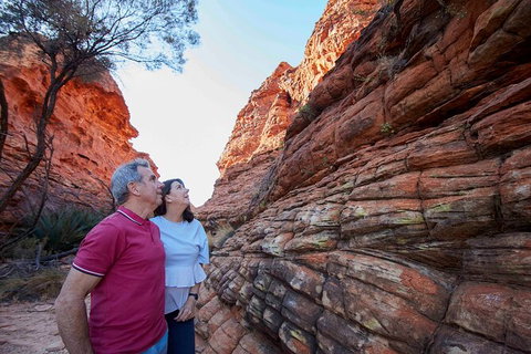 3-Day Alice Springs To Uluru (Ayers Rock) Via Kings Canyon Tour - Redcliffe Tourism 17