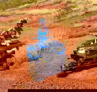 Aussie Outback Air and Land Tour Including Quad Bike Ride - Redcliffe Tourism