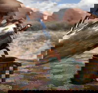 Kata Tjuta Small-Group Tour Including Sunrise and Breakfast - Redcliffe Tourism