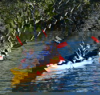 Kayak and SUP Guided Tours - Redcliffe Tourism