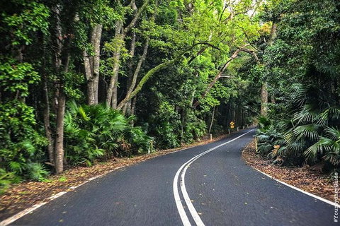 Waves Waterfalls And Wineries Full-Day Southern Highlands Private Tour - Redcliffe Tourism 1