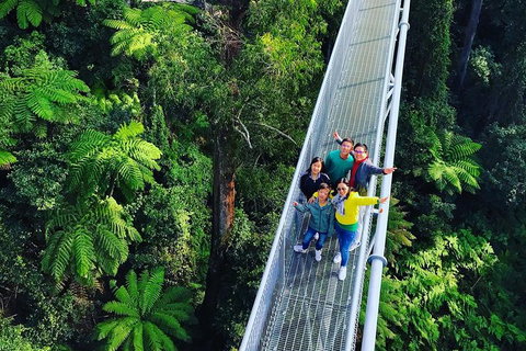 Waves Waterfalls And Wineries Full-Day Southern Highlands Private Tour - Redcliffe Tourism 7