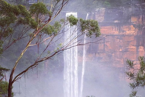Waves Waterfalls And Wineries Full-Day Southern Highlands Private Tour - Redcliffe Tourism 4