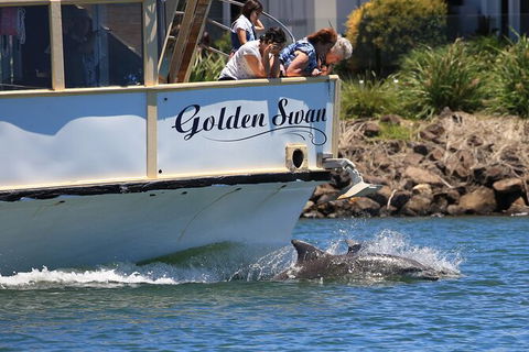 Tweed River And Rainforest Eco Cruise - Redcliffe Tourism 2