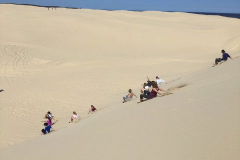 Port Stephens Bush, Beach And Sand Dune 4WD Passenger Tour - Redcliffe Tourism 2