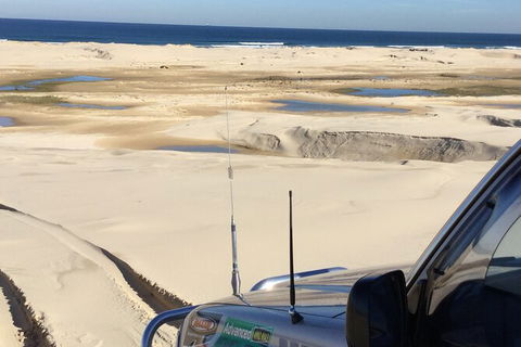 Port Stephens Bush, Beach And Sand Dune 4WD Passenger Tour - Redcliffe Tourism 4