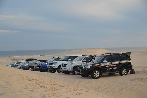 Port Stephens Bush, Beach And Sand Dune 4WD Passenger Tour - Redcliffe Tourism 7