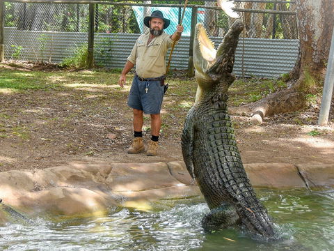 Billabong Sanctuary - Redcliffe Tourism 1