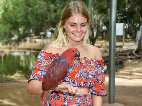 Billabong Sanctuary - Redcliffe Tourism 2
