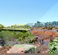 Bladensburg National Park - Redcliffe Tourism