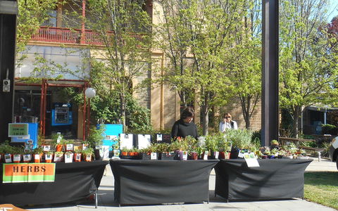 Clare Show Market - Redcliffe Tourism 0