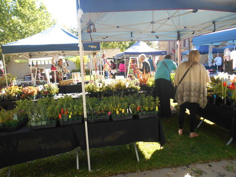 Clare Show Market - Redcliffe Tourism 1