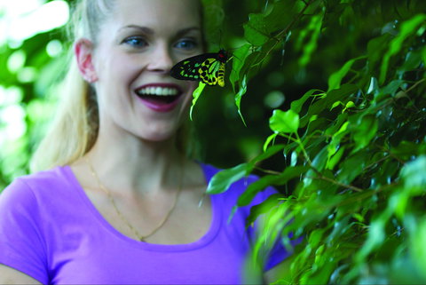 Coffs Harbour Butterfly House - Redcliffe Tourism 0