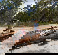 Crooked Brook Forest - Redcliffe Tourism