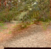 Daleys Point Walking Track - Redcliffe Tourism