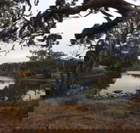 Duck Lagoon - Redcliffe Tourism