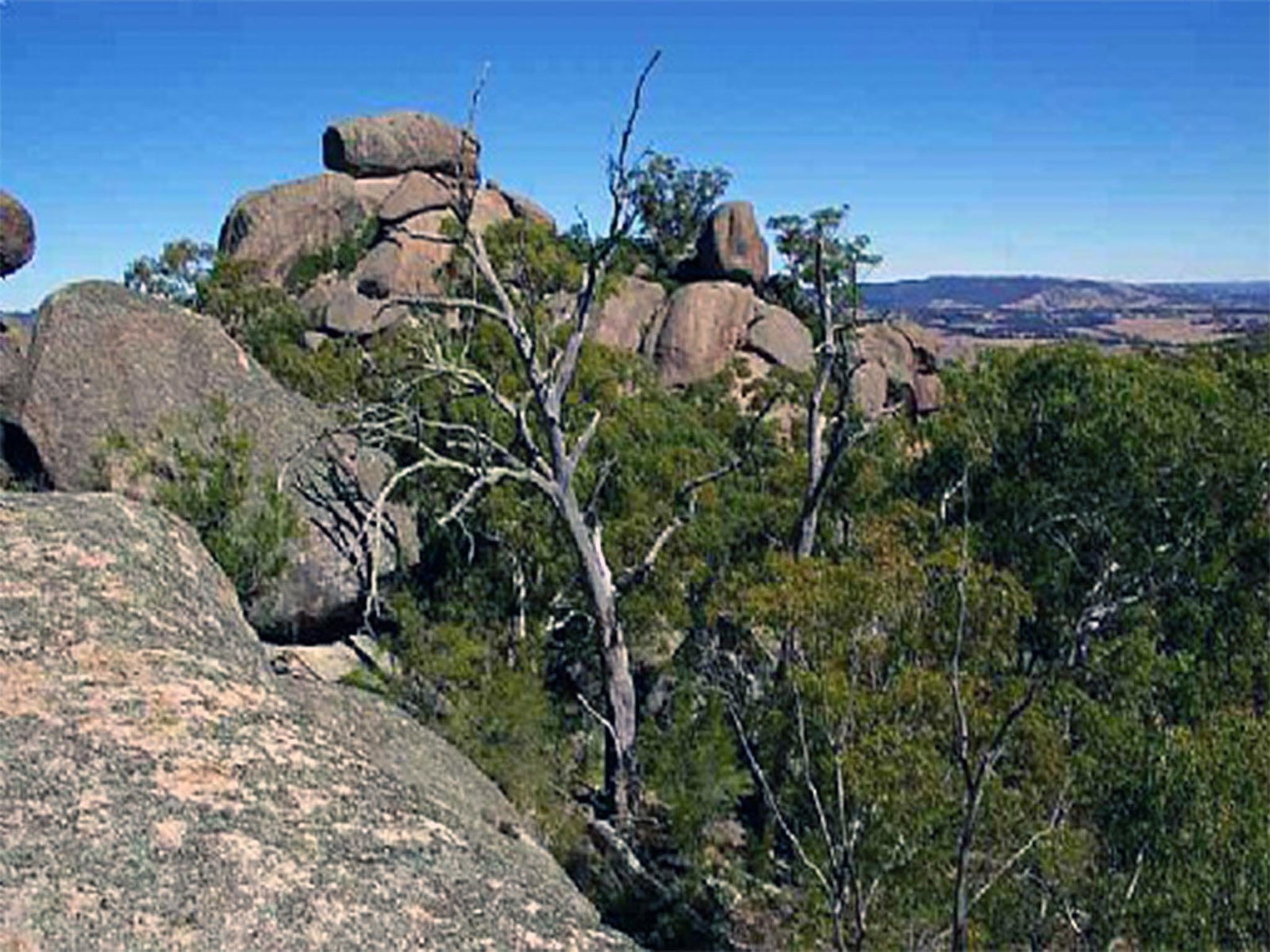 Tarana NSW Redcliffe Tourism