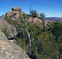 Evans Crown Nature Reserve - Redcliffe Tourism