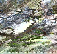 Gathercole Nature Reserve - Redcliffe Tourism