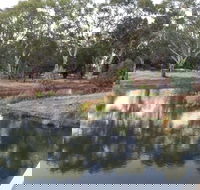 Green Corridor Walking Track - Redcliffe Tourism