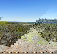 Hale Conservation Park - Redcliffe Tourism