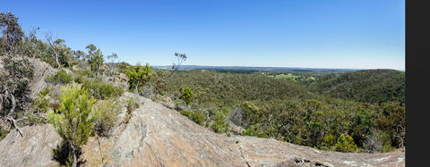 Hale Conservation Park - Redcliffe Tourism 0
