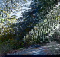 Hastings Forest Way Touring Route - Redcliffe Tourism