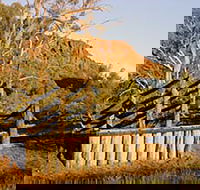 Illamurta Springs Conservation Reserve - Redcliffe Tourism